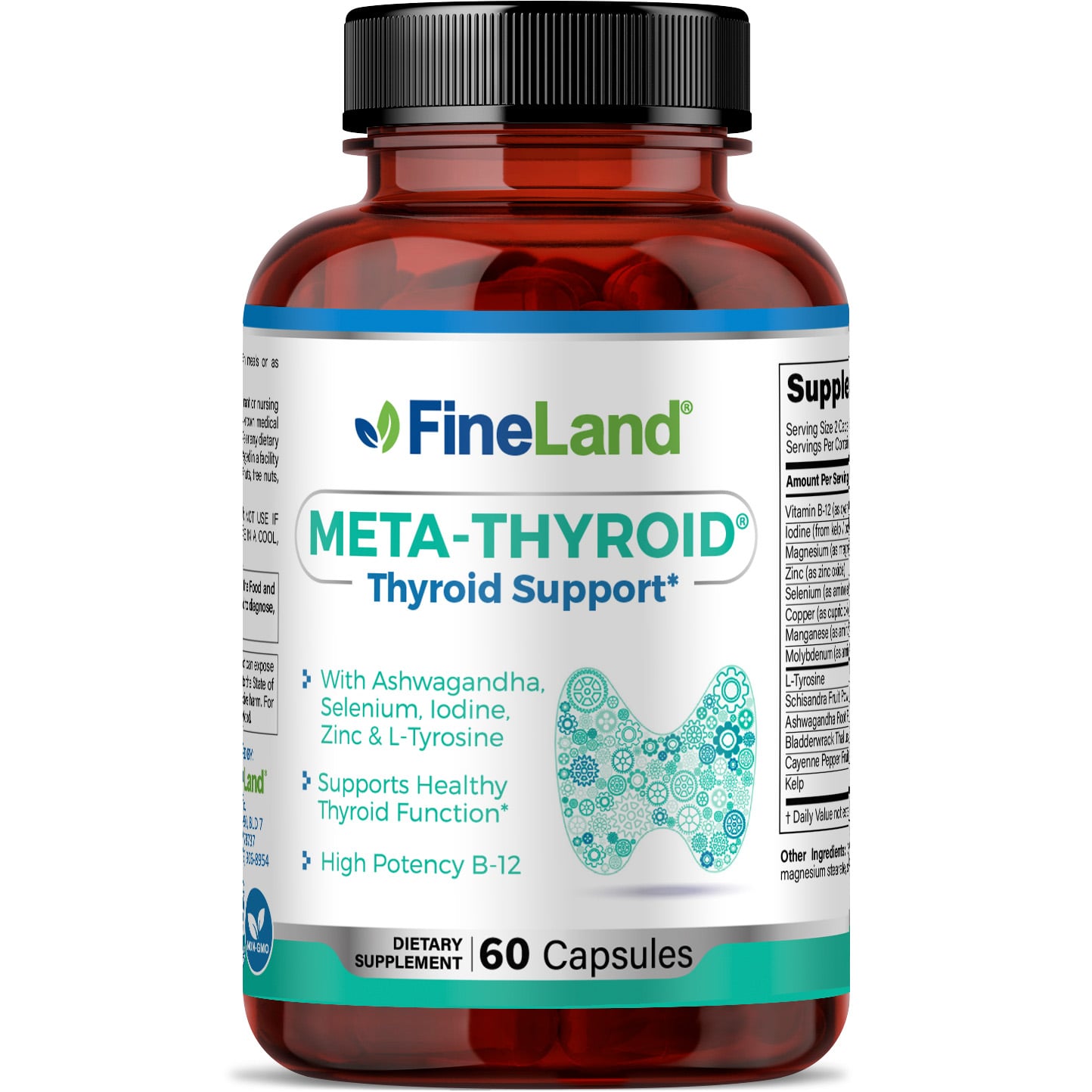 FRONTAL META-THYROID.jpg Meta-Thyroid - Image 1