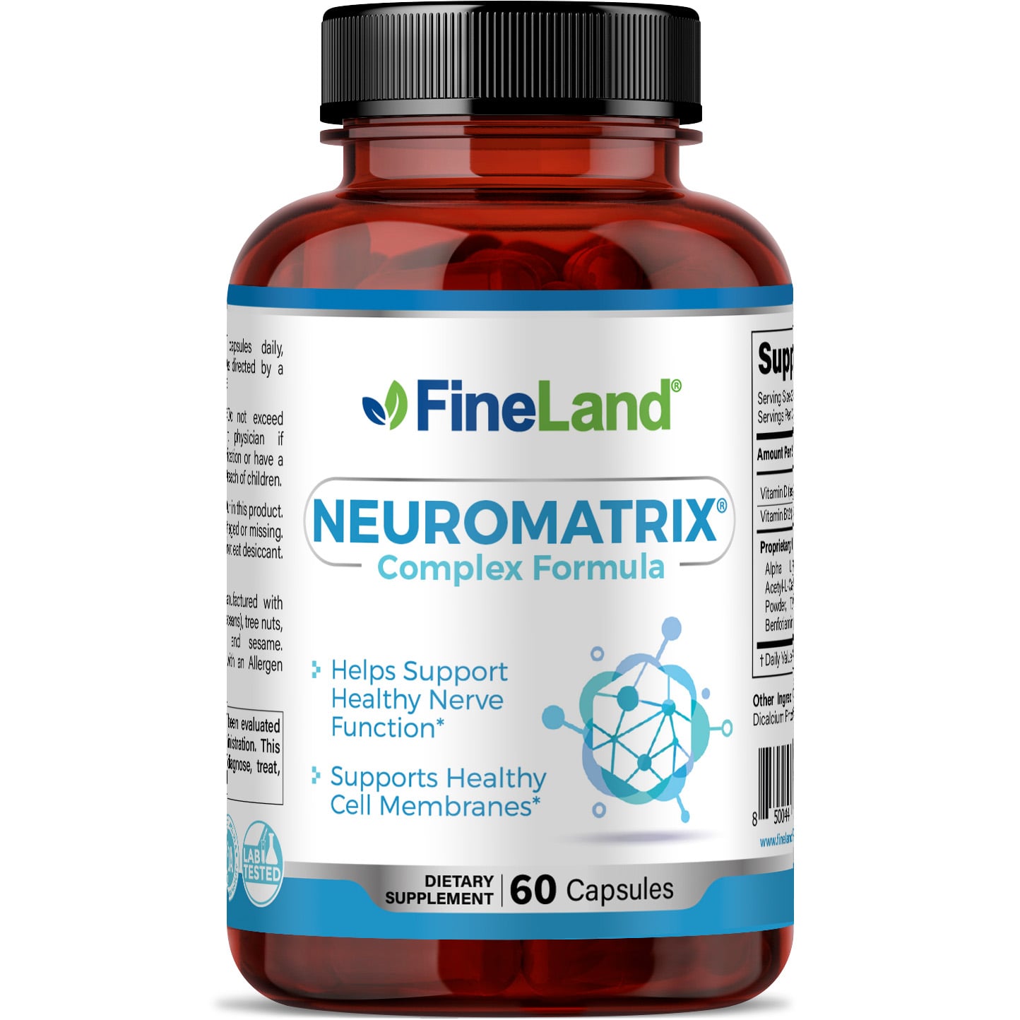 FRONTAL NEUROMATRIX.jpg Neuromatrix - Image 1