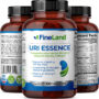Uri Essence - Image 2
