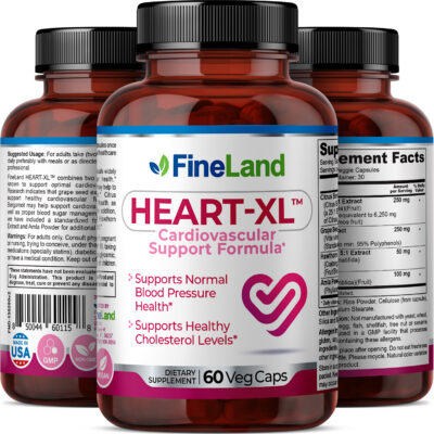 Heart-XL - Image 2