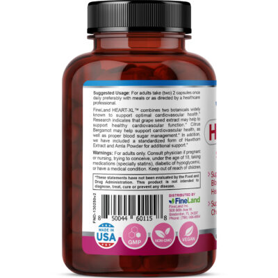 Heart-XL - Image 4