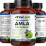 Amla - Image 4