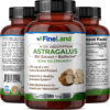 Astragalus - Image 2