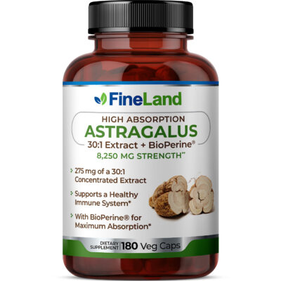 Astragalus - Image 1
