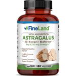 Astragalus