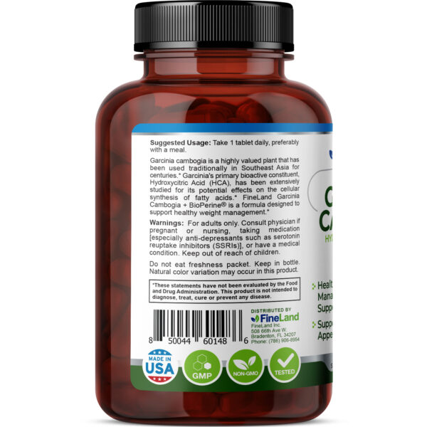 Garcinia Cambogia - Image 4
