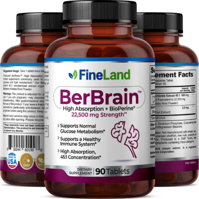 BerBrain - Image 2