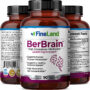 BerBrain - Image 2