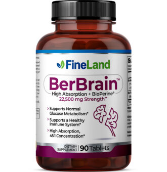 FineLand-BerBrain-3DRender-02