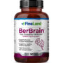 BerBrain
