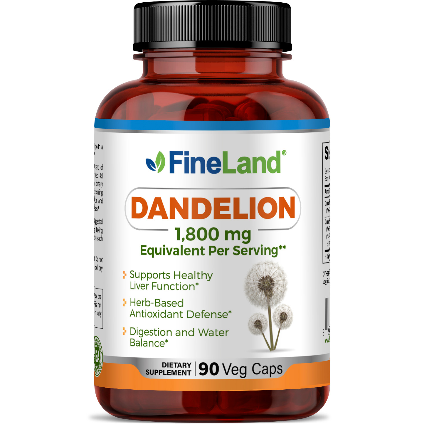 FRONTAL DANDELION.jpg Dandelion - Image 1