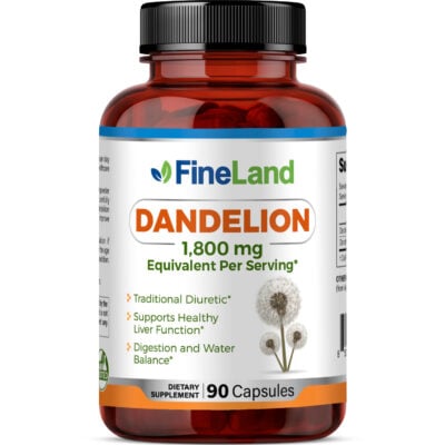 Dandelion - Image 1