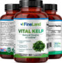 Vital Kelp - Image 4