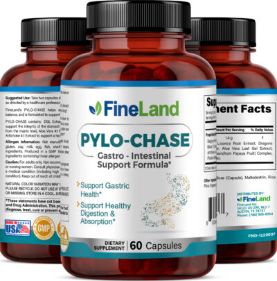 Pylo-Chase - Image 4