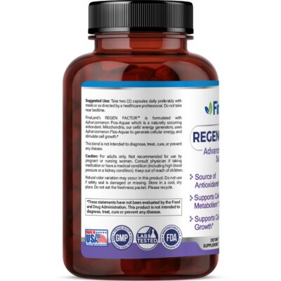 Regen-Factor - Image 2