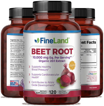 Beet Root - Image 4