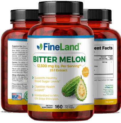 Bitter Melon - Image 4