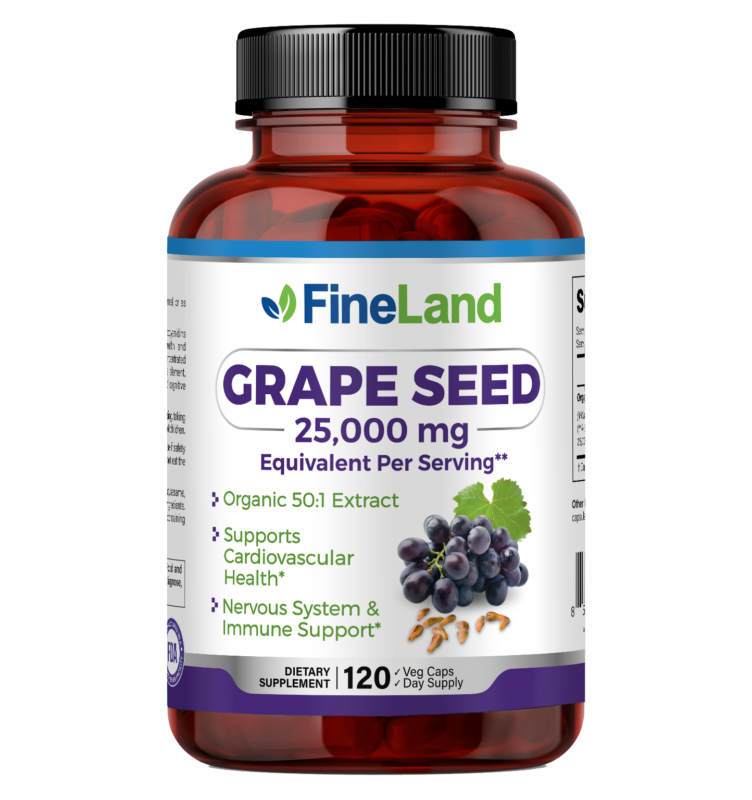 MeySen STANDARD/GRAPE seed 英語テキスト 2025年最新】grape seed 英語の人気アイテム - メルカリ