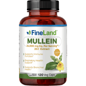 Mullein