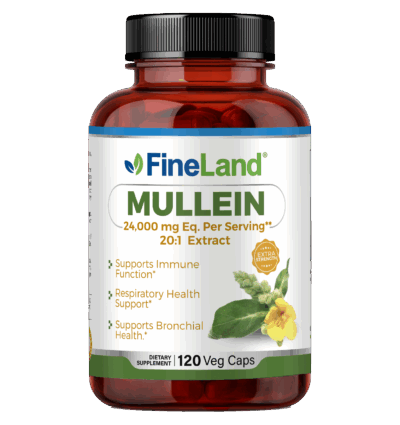 Mullein - Image 1
