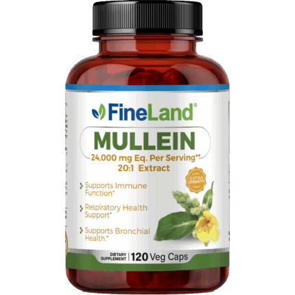 Mullein