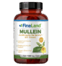 Mullein