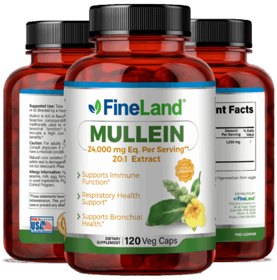 Mullein - Image 4