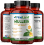 Mullein - Image 4