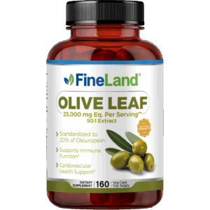 Olive Leaf