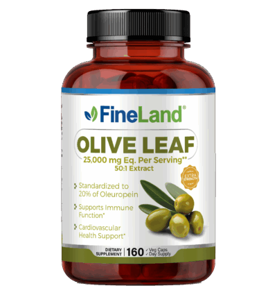 Olive Leaf - Image 1