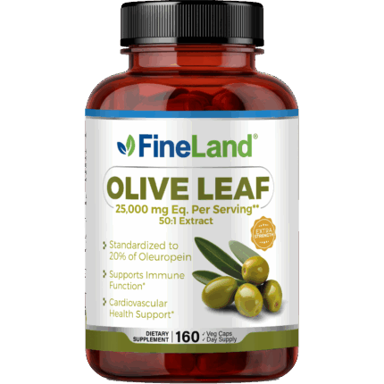 Olive Leaf