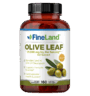 Olive Leaf