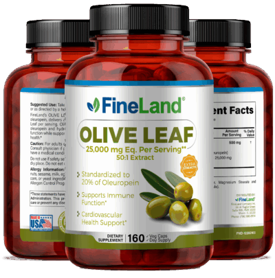 Olive Leaf - Image 4