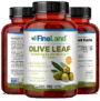 Olive Leaf - Image 4