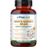 White Kidney Bean