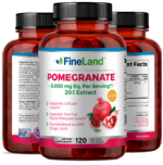 Pomegranate - Image 4